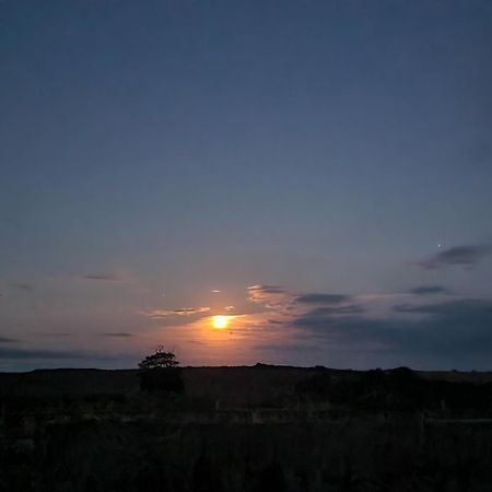 Sunriseview Cottages Wicklow Exterior foto
